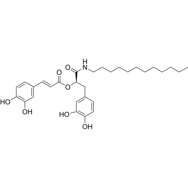 SARS-CoV-2-IN-47
